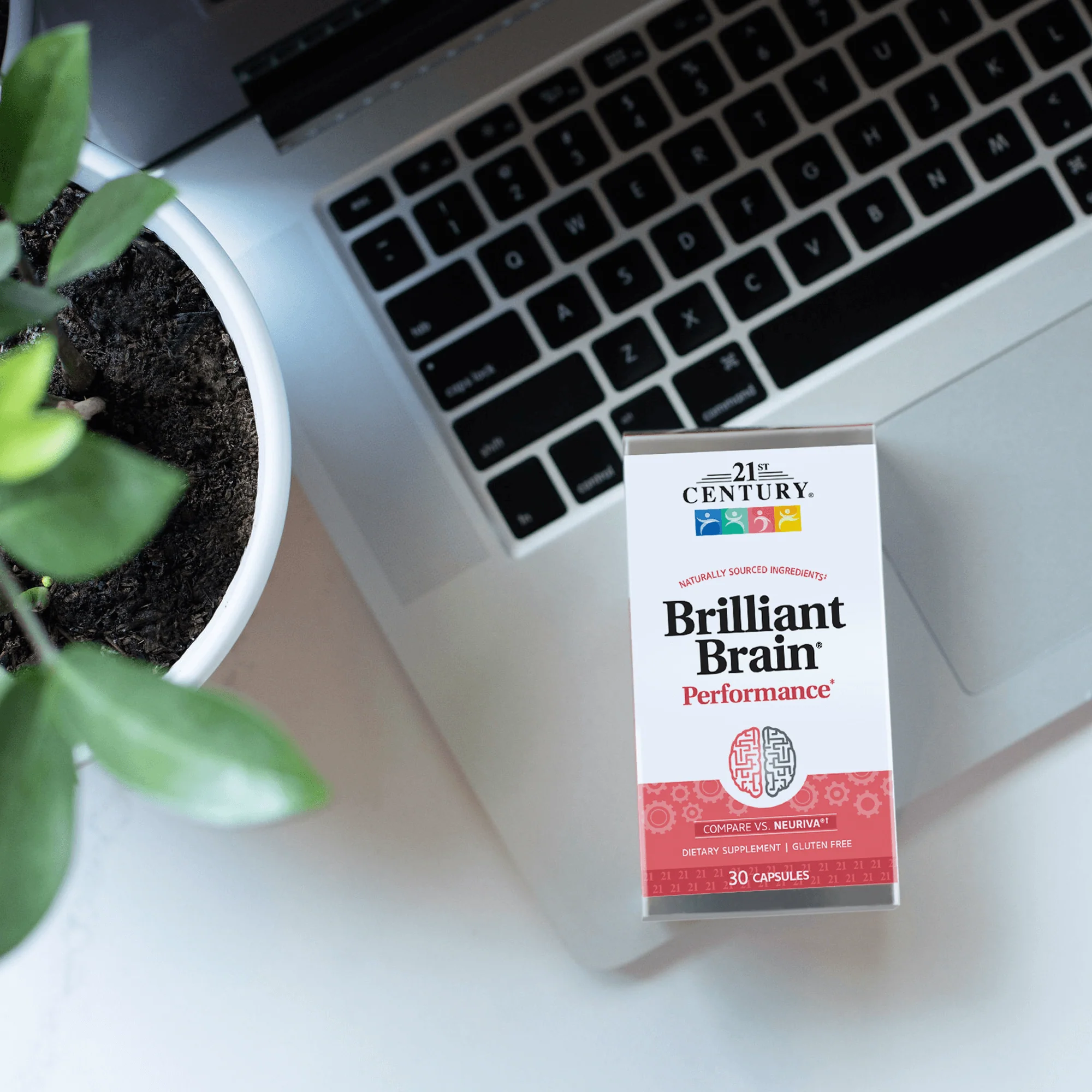 Brilliant Brain - Image 5