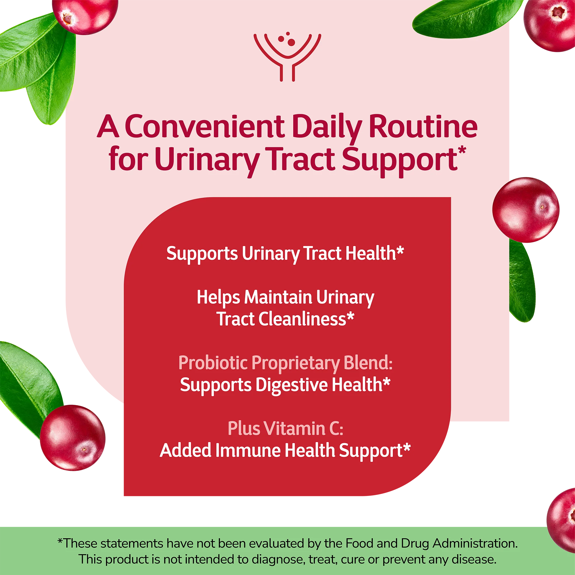 Cranberry Plus Probiotic - Image 3