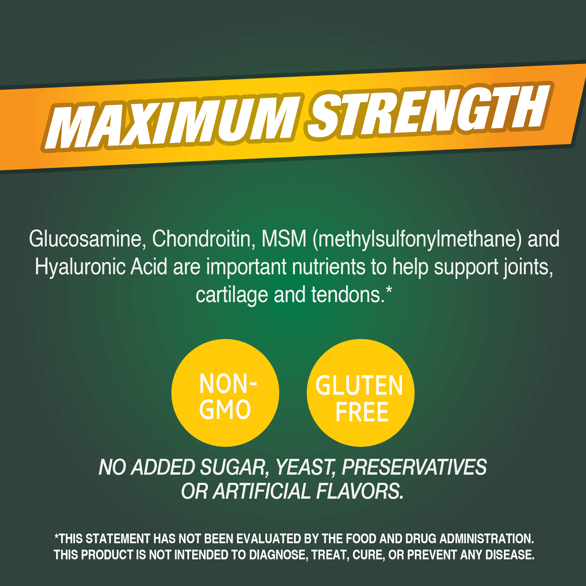 Glucosamine Chondroitin Plus Hyaluronic Acid +MSM - Image 6