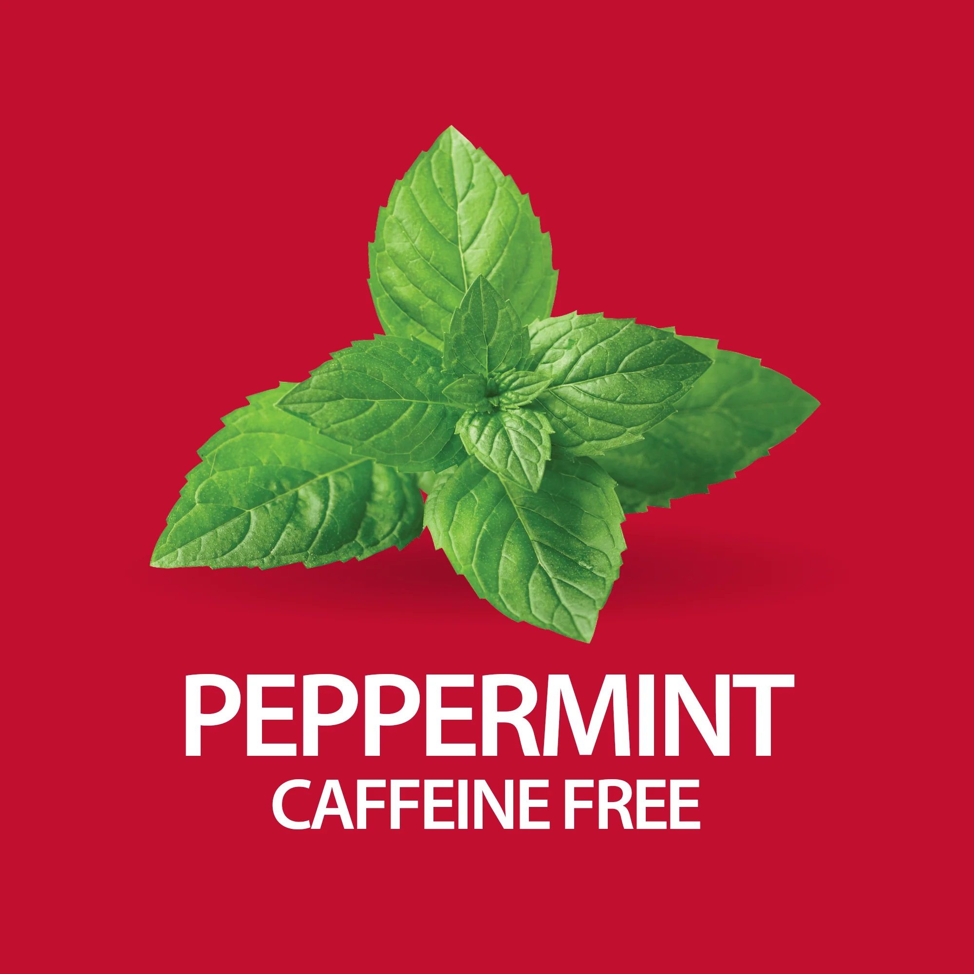 Herbal Slimming Tea Peppermint - Image 7