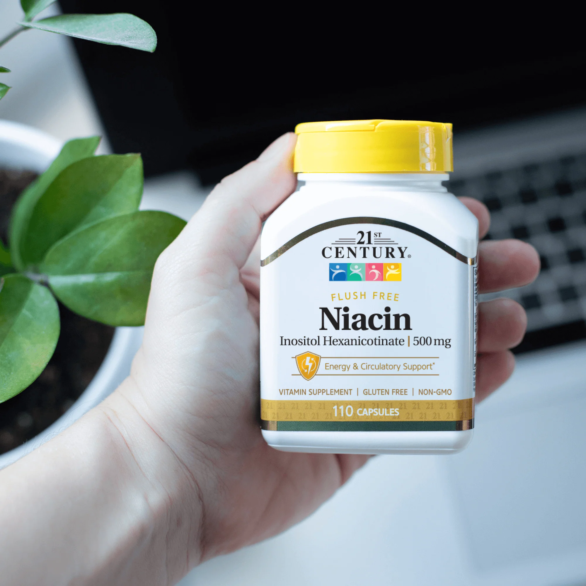 Niacin Inositol Hexanicotinate - Image 5