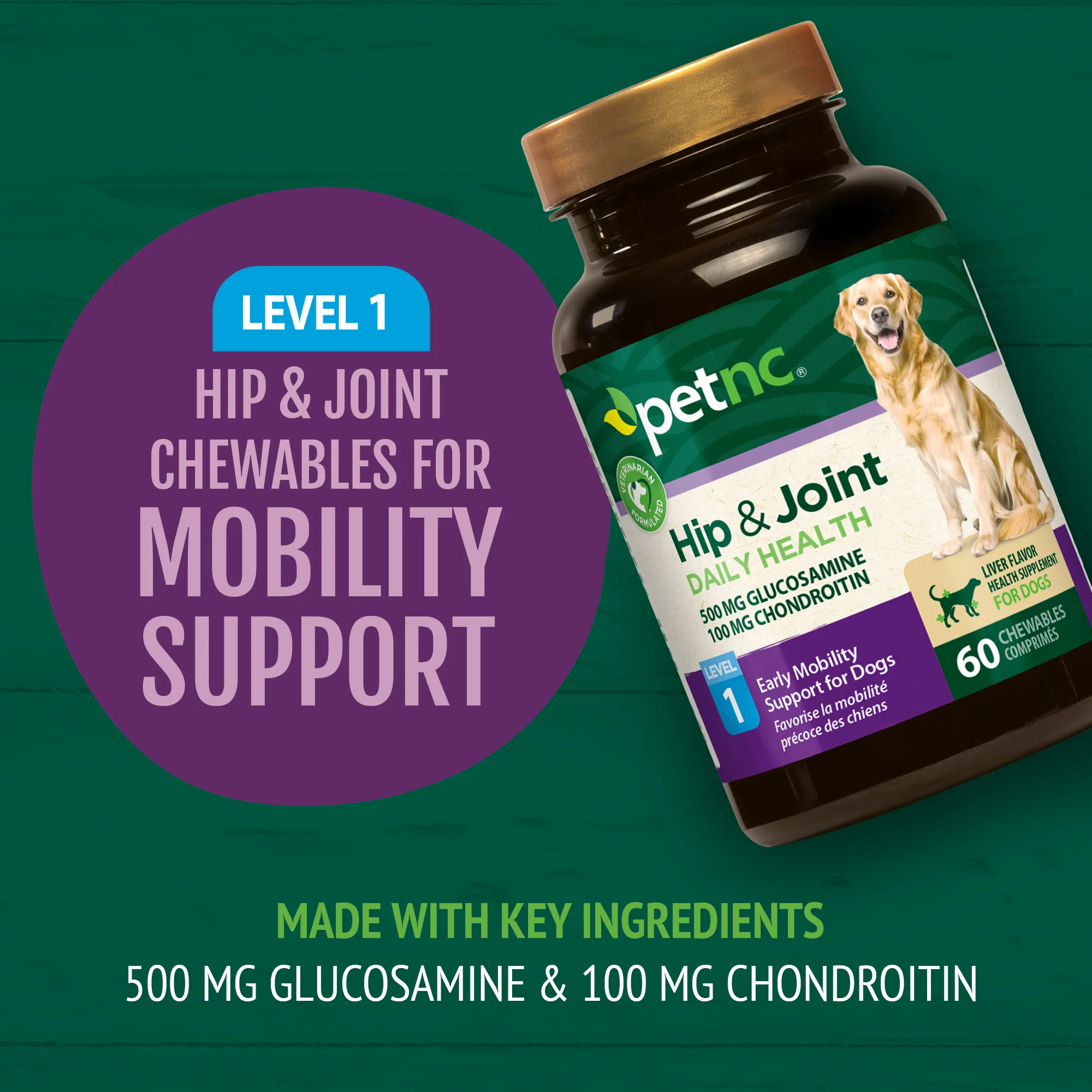 Hip & Joint Level 1 - Image 6
