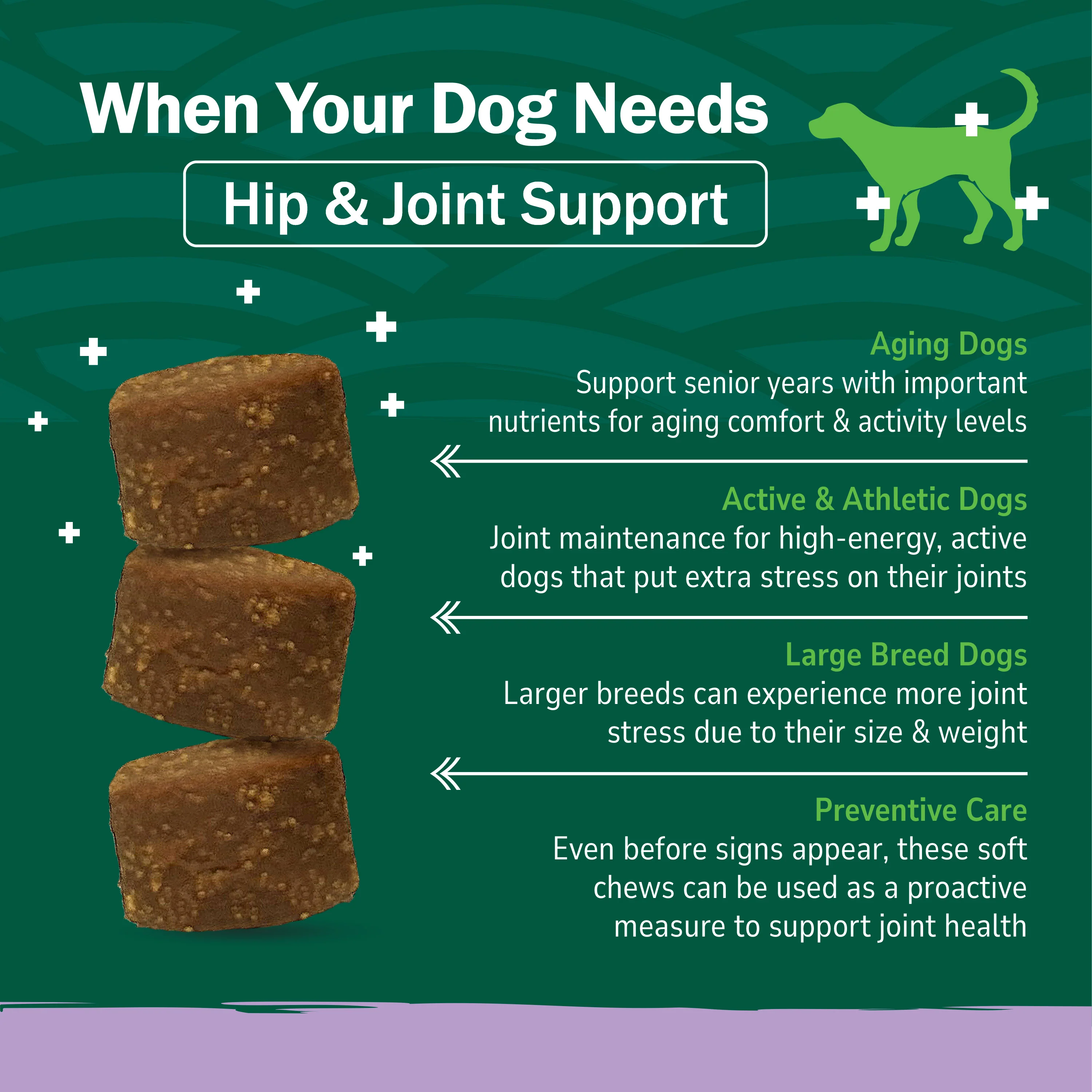 Hip & Joint Soft Chews - Image 7