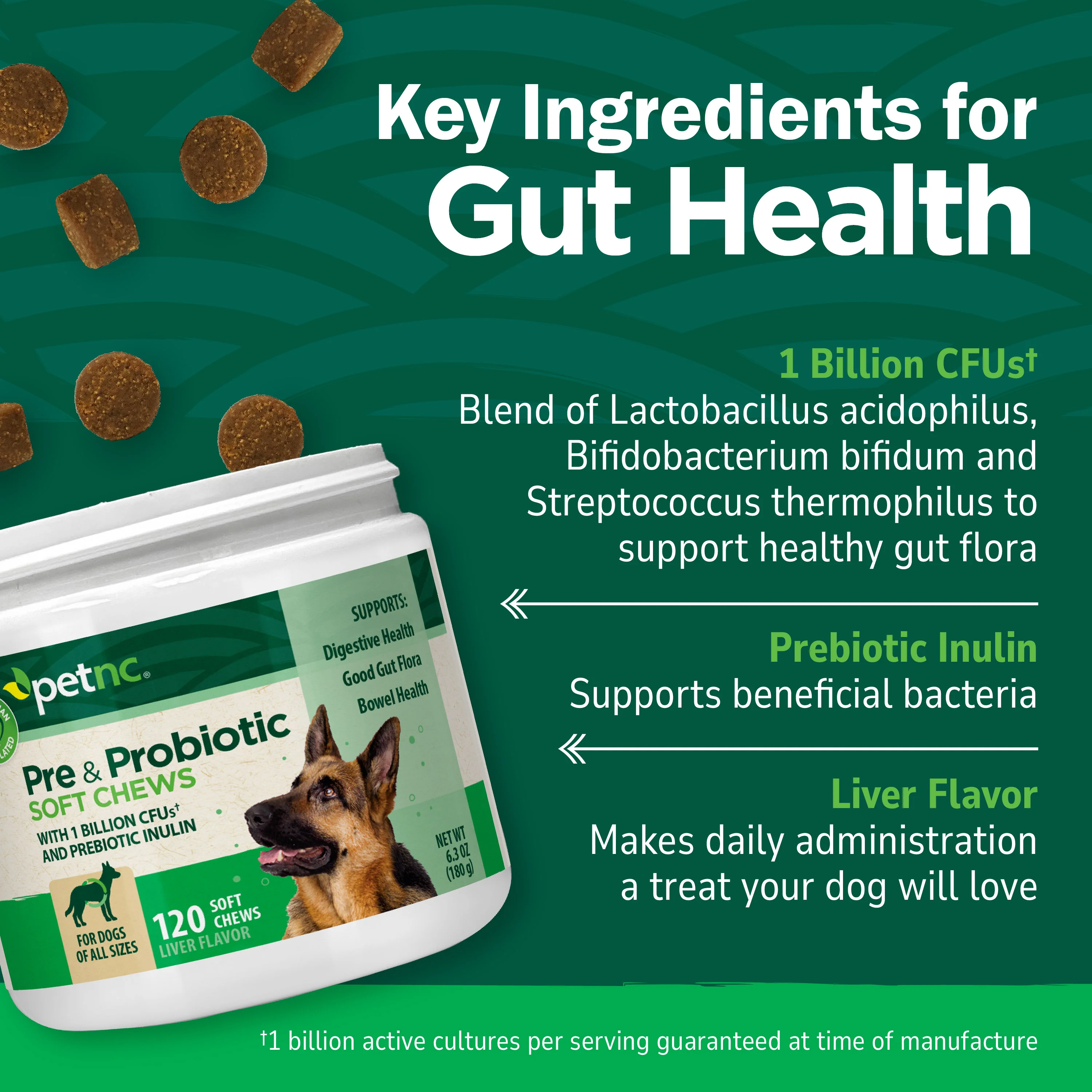Pre & Probiotic Soft Chews - Image 6