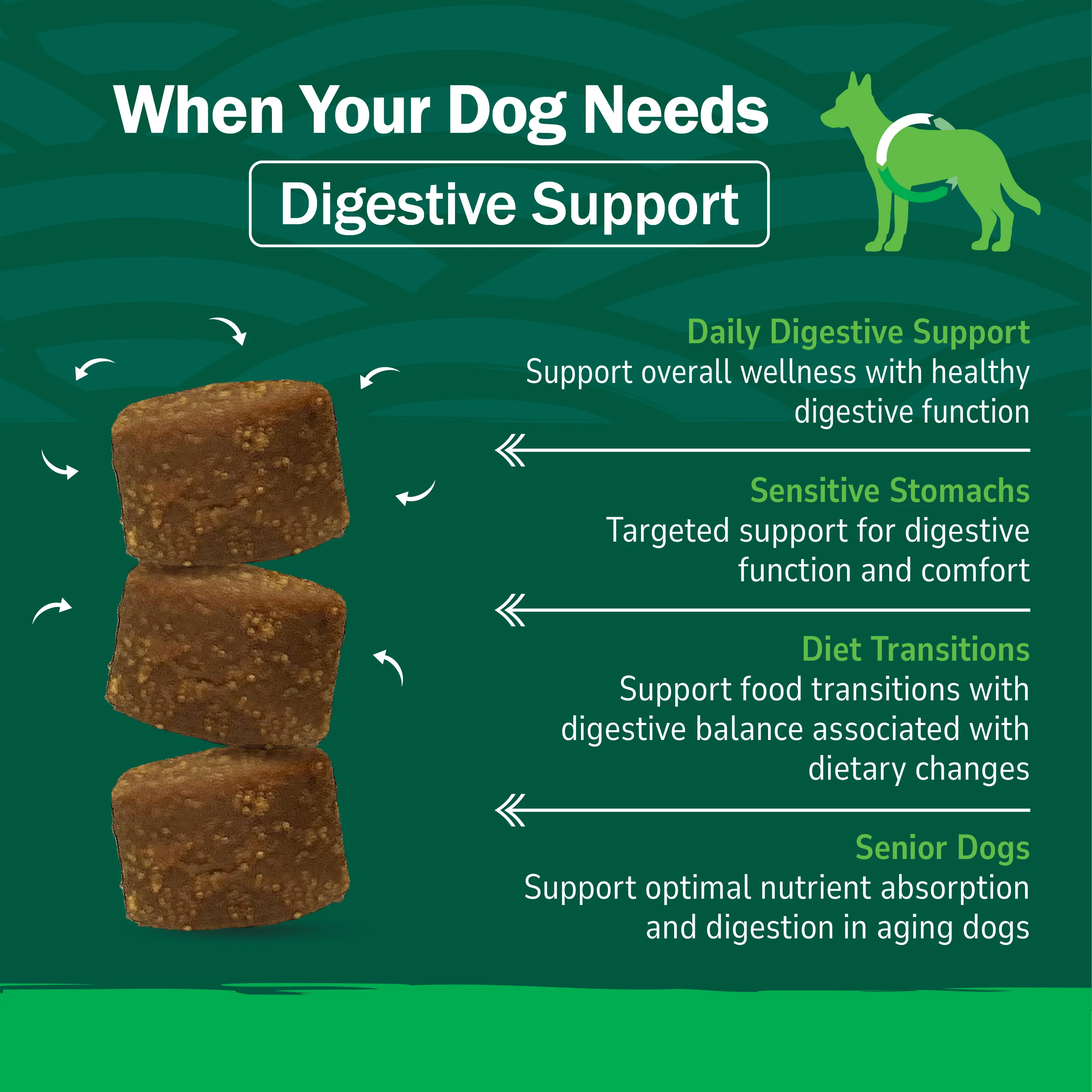 Pre & Probiotic Soft Chews - Image 7