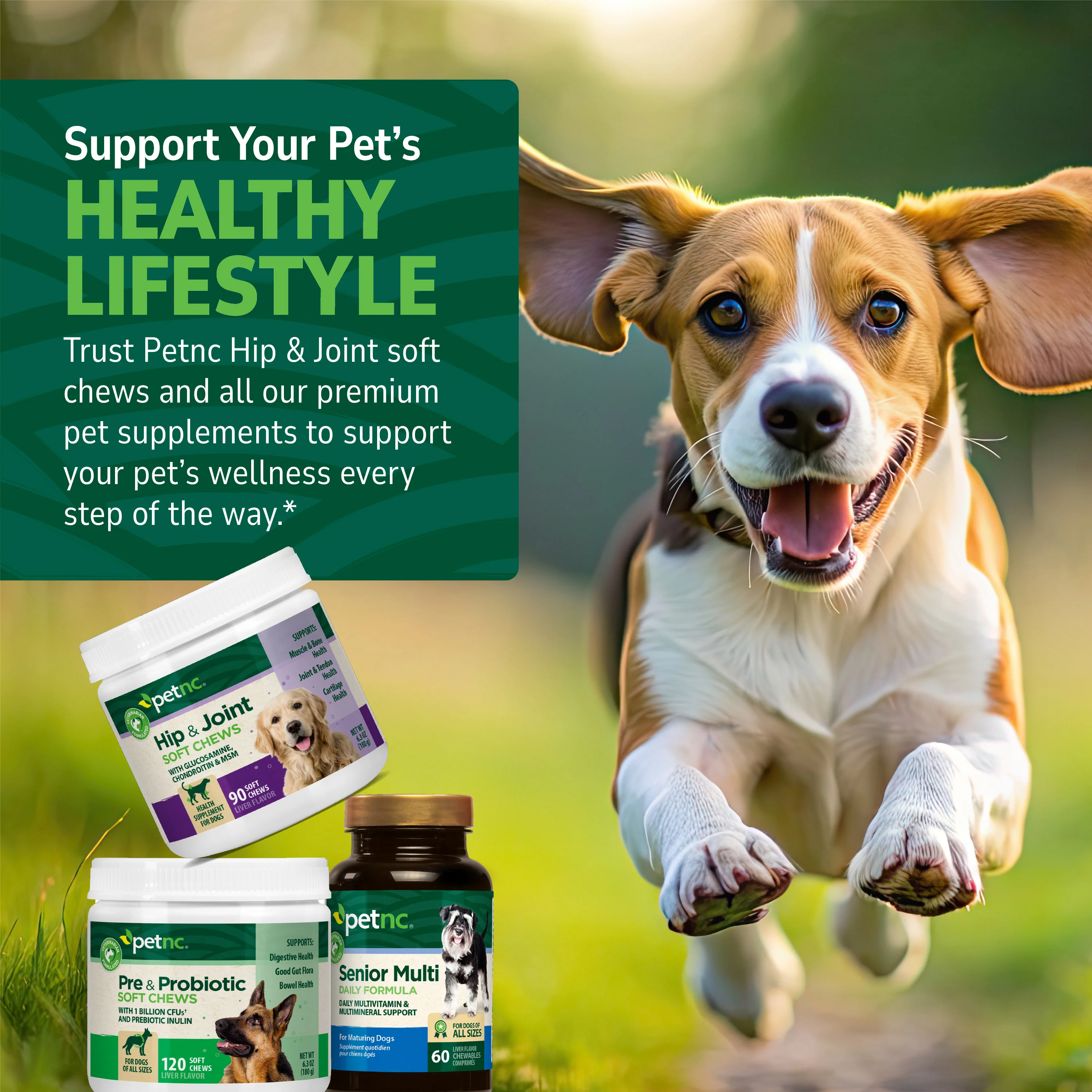 Pre & Probiotic Soft Chews - Image 8