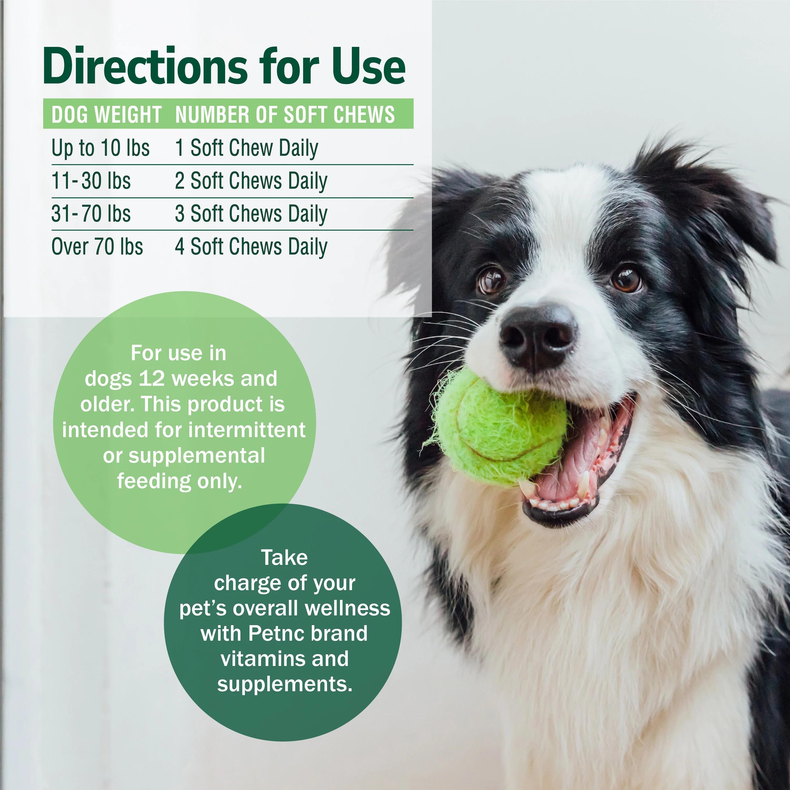 Pre & Probiotic Soft Chews - Image 9