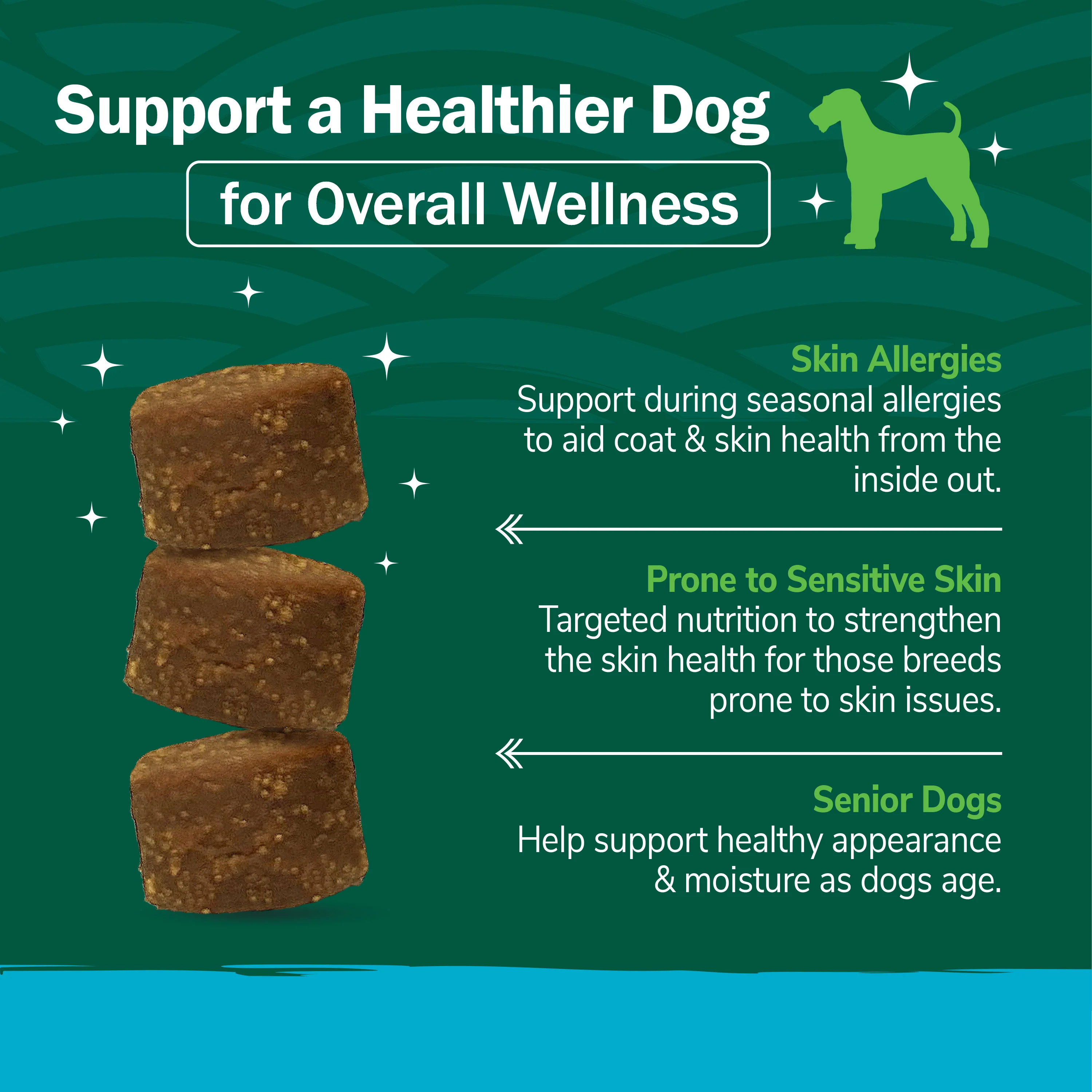 Skin & Coat Soft Chews - Image 7