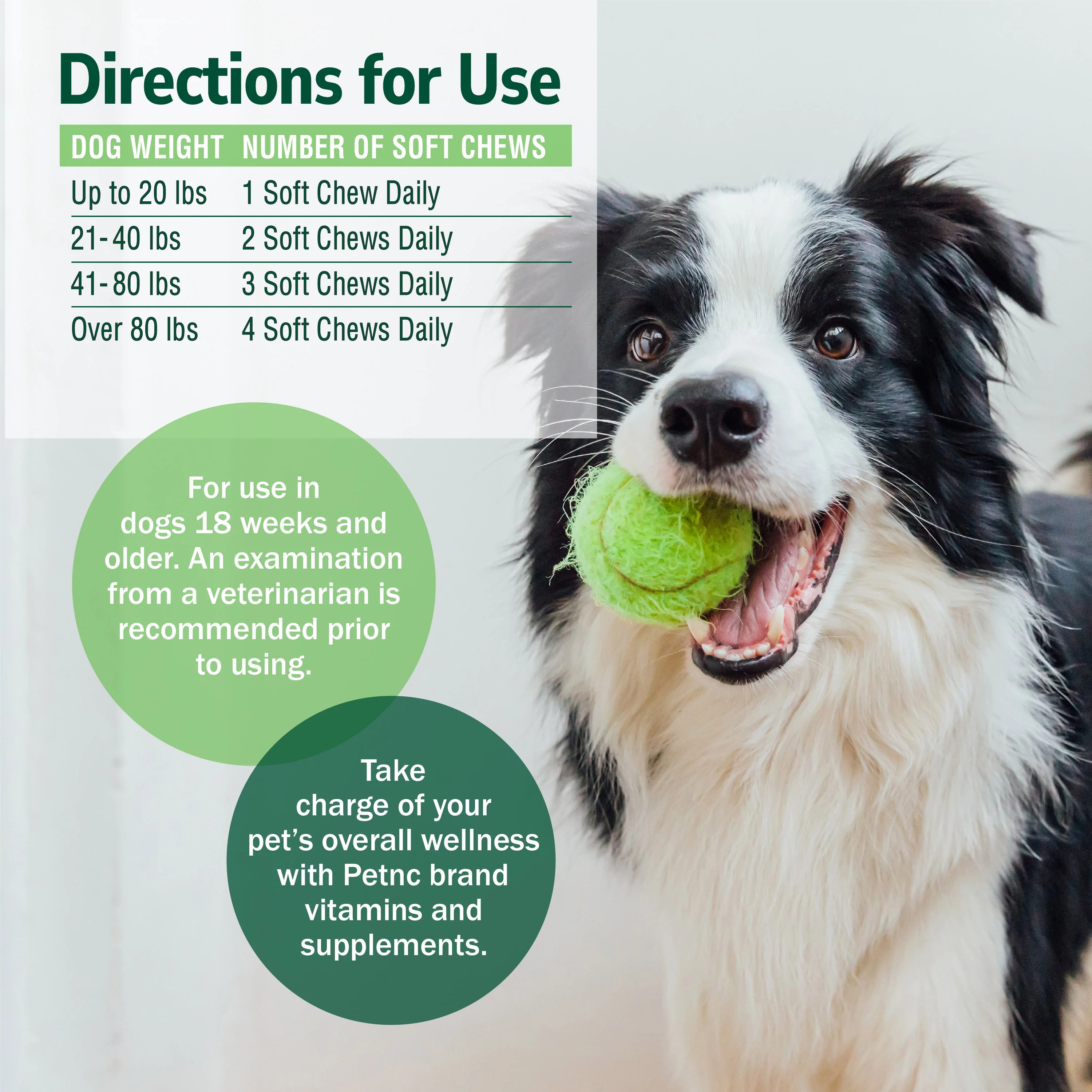 Skin & Coat Soft Chews - Image 9