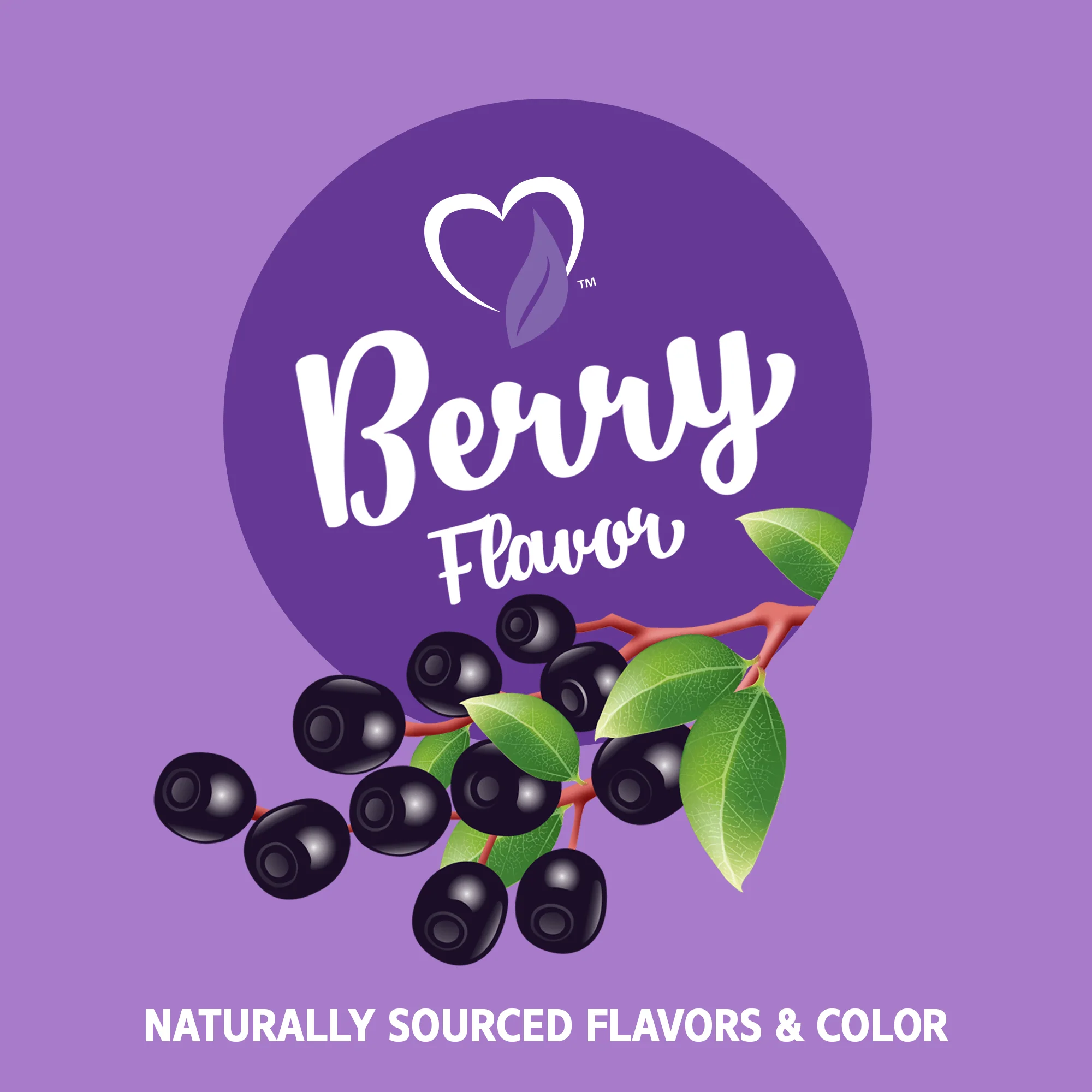 VitaJoy Sambucus Elderberry 100 mg Gummies - Image 5